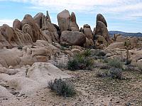 joshua tree national park (37).JPG